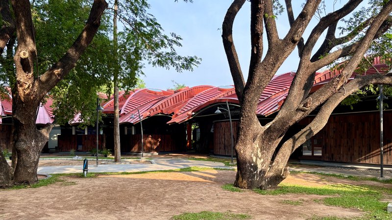 Courtyard view framed by branching trees with the curved metal roof canopy above timber-clad volumes