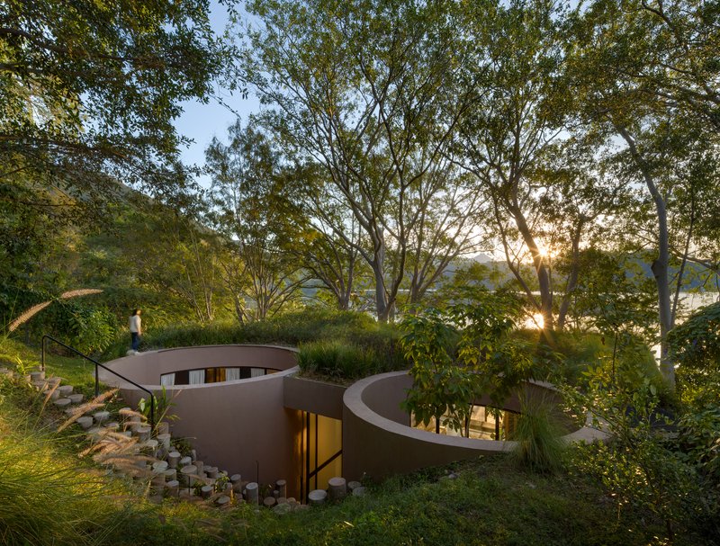 Aerial view of curving planted roof volumes nestled into the hillside under tall eucalyptus trees at dusk