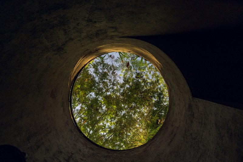 Upward view through a circular skylight framing tree canopy and sky from below