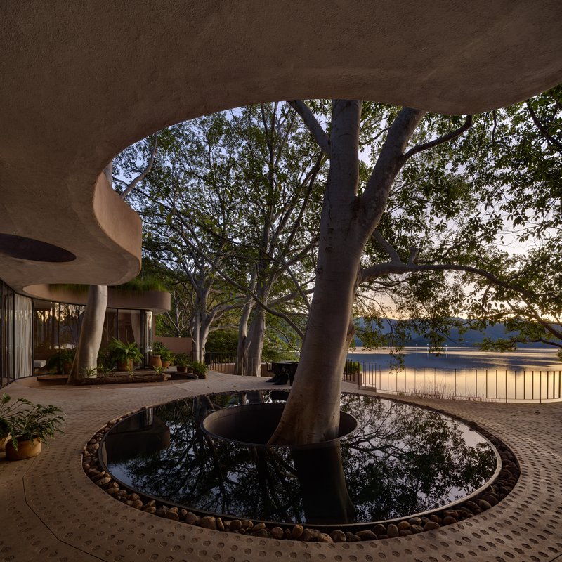 Circular planter with tree trunk piercing the curved roof overhang under evening light