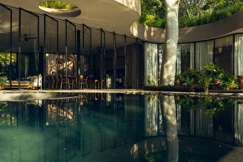 Reflecting pool mirroring the glass curtain wall and tree shadows in afternoon sunlight