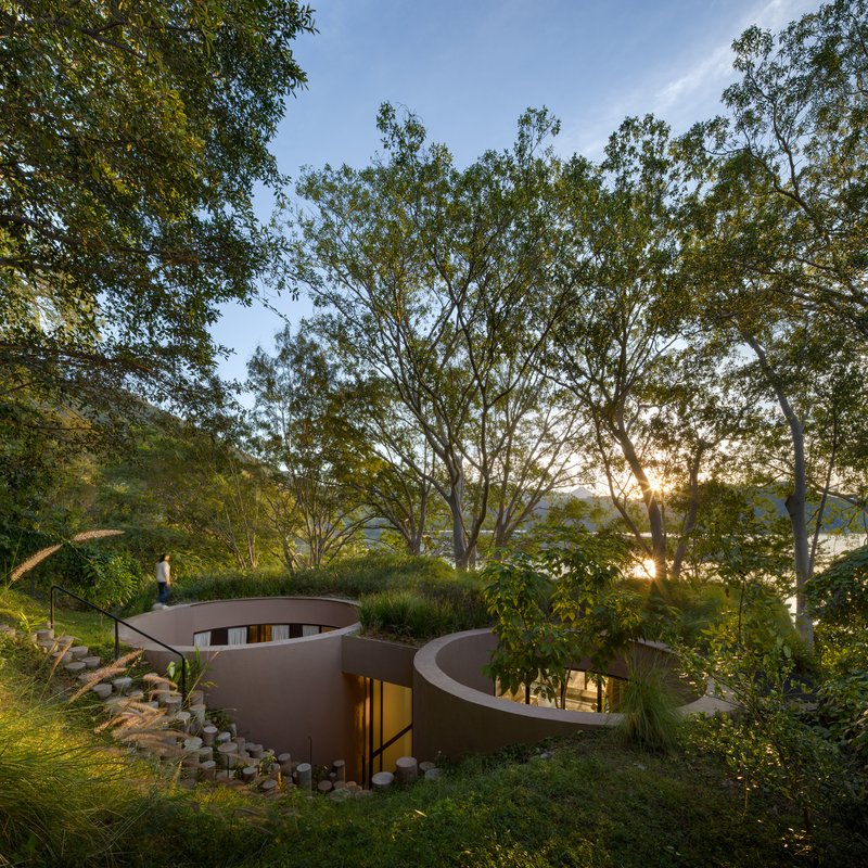 Two curved volumes embedded in a hillside garden beneath overhanging trees at sunset