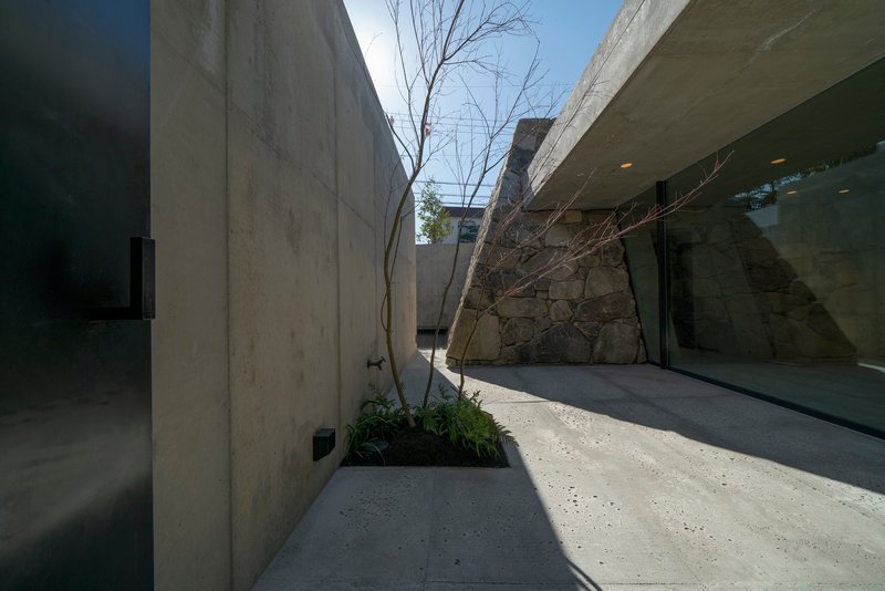 Narrow exterior passage between board-formed concrete walls and stone outcrop with a young birch tree