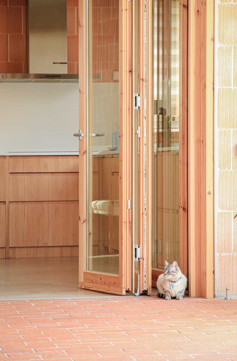 Timber-framed folding glass doors opening onto a terracotta tile terrace with a cat sitting in the threshold