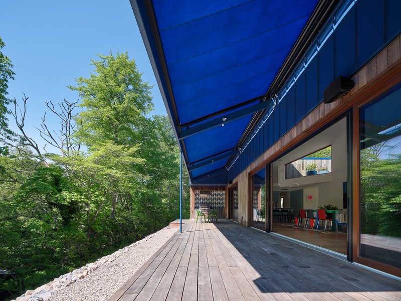Timber deck terrace beneath a cantilevered blue metal roof surrounded by leafy spring trees