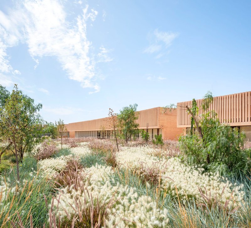 Low horizontal volumes with timber slat screens above native wildflower meadow in summer bloom