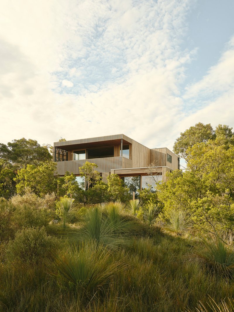 Elevated timber residence on steel columns rising above native grasses and coastal scrub vegetation