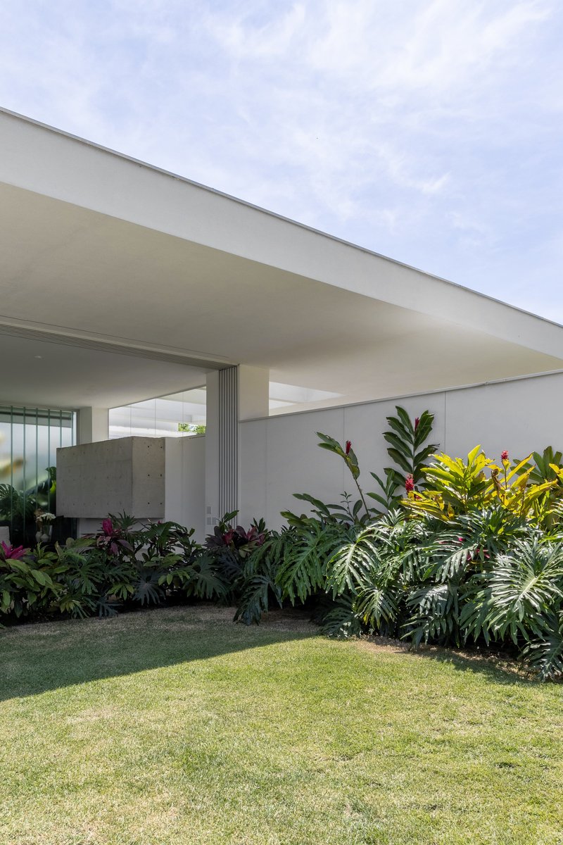 Covered terrace with concrete volume and planted bed of ferns and tropical foliage