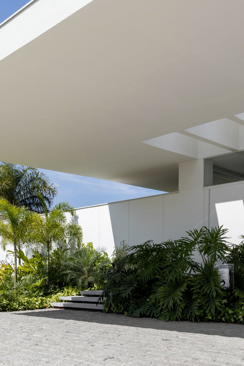 Recessed entry steps beneath the cantilevered roof with planted beds and palm trees