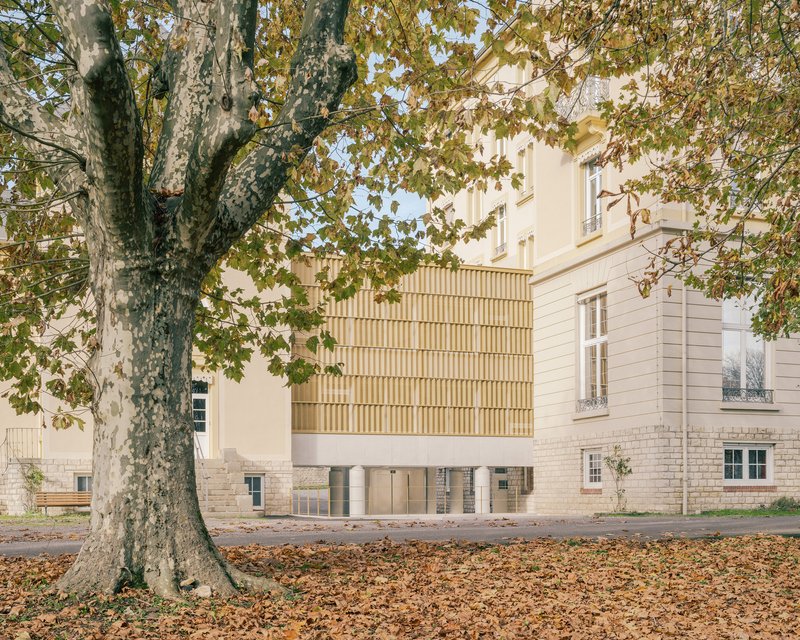 Elevated timber-clad volume on cylindrical columns beside a cream stucco facade framed by sycamore trees in autumn