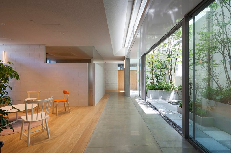 Interior corridor with polished concrete floor alongside full-height glazing overlooking a planted courtyard