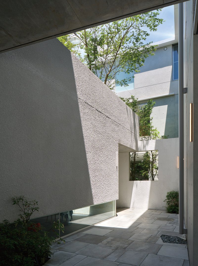 Interior courtyard with angled textured concrete walls and open sky framing a young tree