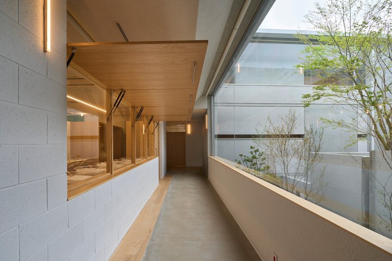 Narrow interior corridor with timber-lined ceiling and clerestory window overlooking a courtyard tree