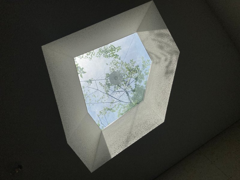 Looking up through an angular concrete skylight opening with tree branches visible against sky