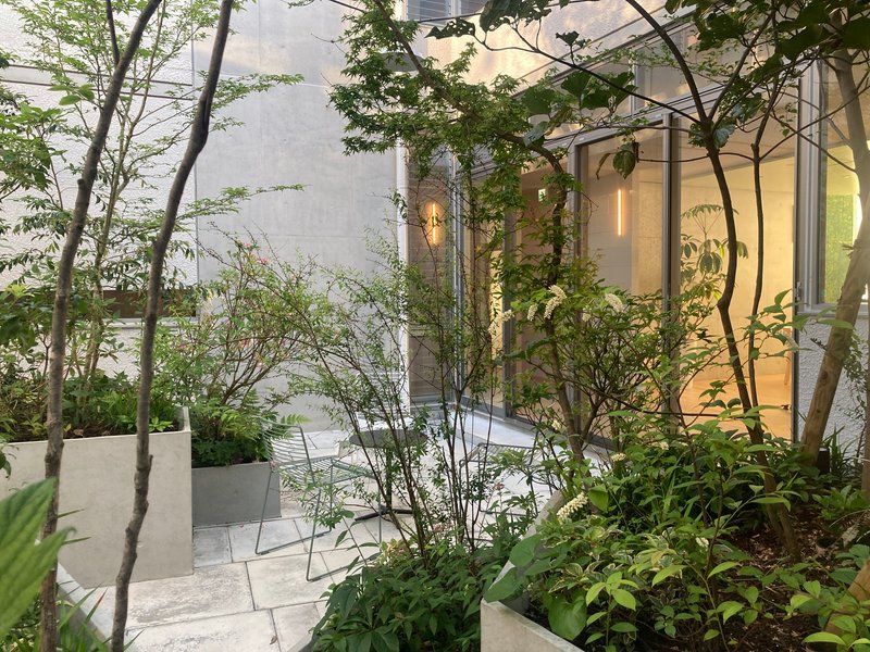 Courtyard with concrete planters, young trees and glazed facade at dusk