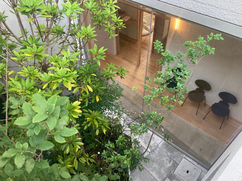 Overhead view of interior courtyard with planted beds, timber deck and dining chairs