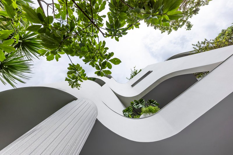 Worm's eye view of undulating white roof forms with planted openings framed by tropical foliage