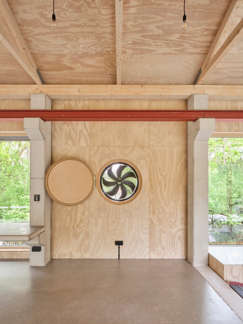 Plywood wall with two circular porthole windows and red steel beam beneath exposed timber ceiling