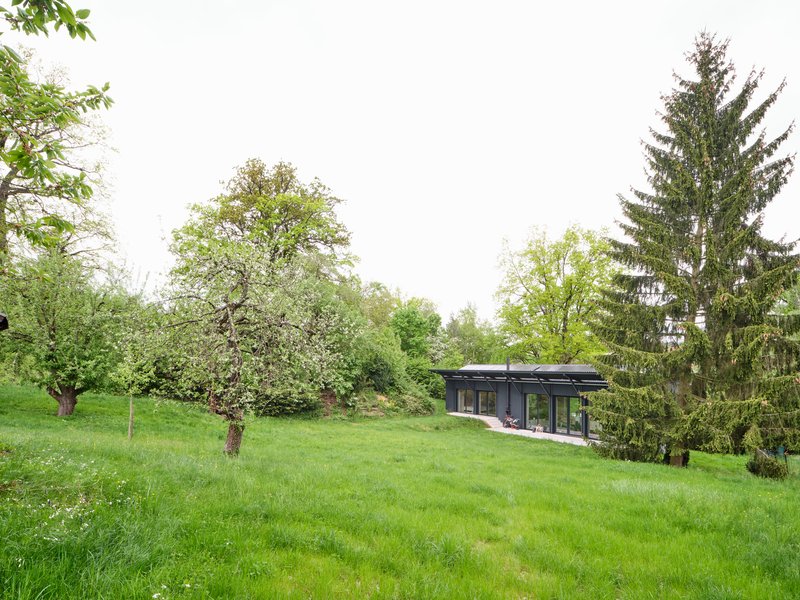 Low-profile structure nestled in a grassy orchard among deciduous trees and evergreens in spring