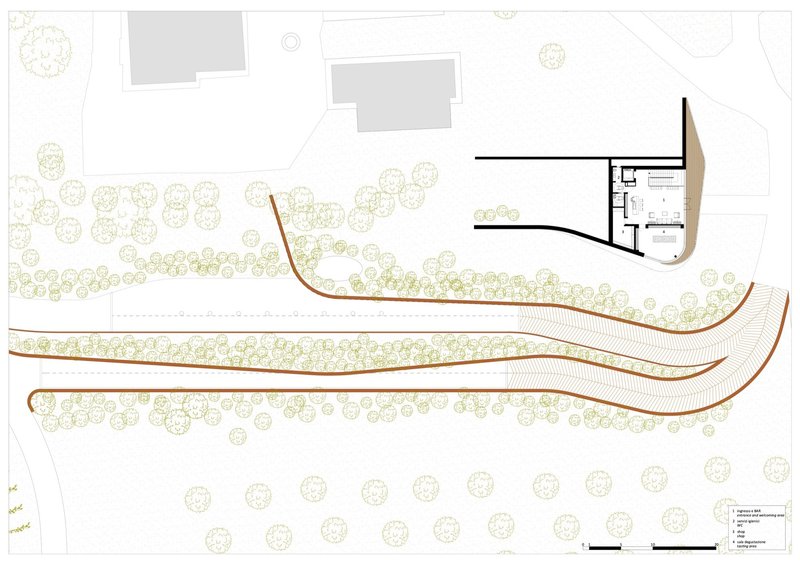 Site plan showing terraced landscape with rows of plantings and an angular building