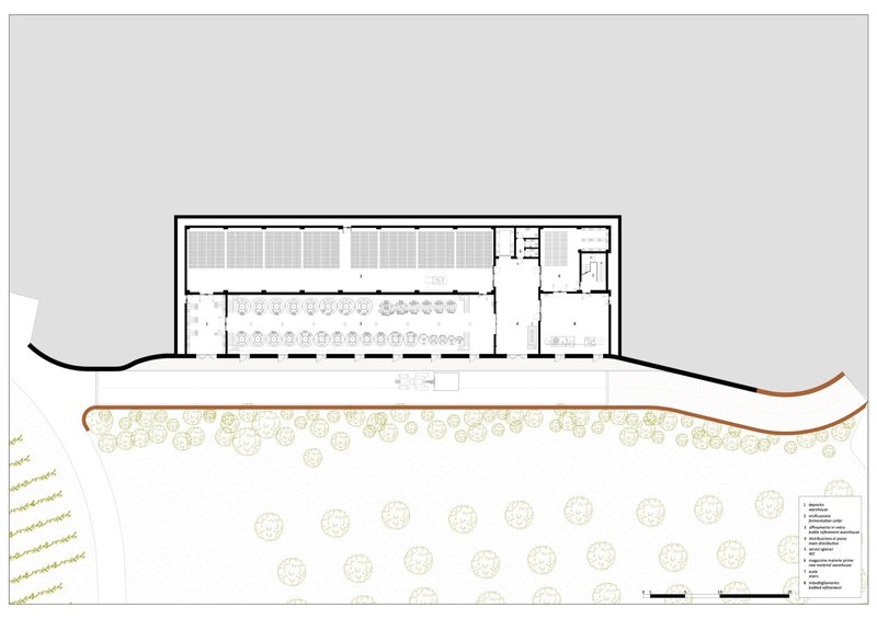 Section drawing through a barrel storage hall with terraced vineyard slope