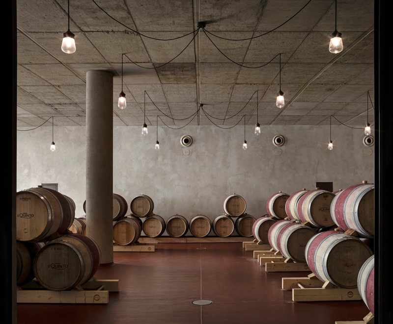 Barrel cellar with exposed concrete ceiling, pendant lights on draped cables, and wine casks on timber racks