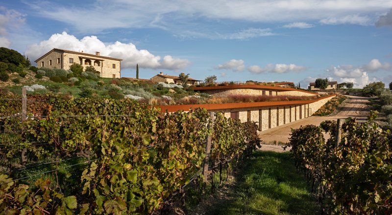 Planted roof structure emerging from vineyard rows with farmhouse on hilltop beyond