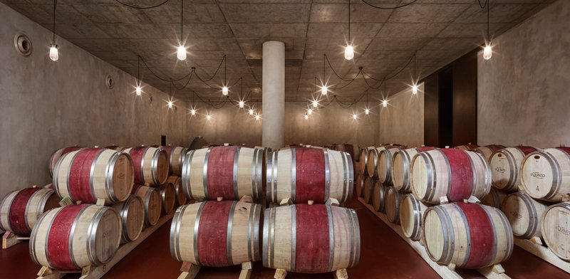 Barrel room with exposed concrete ceiling and string lights illuminating stacked wine barrels