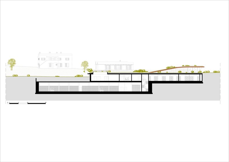 Section drawing showing a partially sunken structure with green roof terraces and adjacent contextual buildings