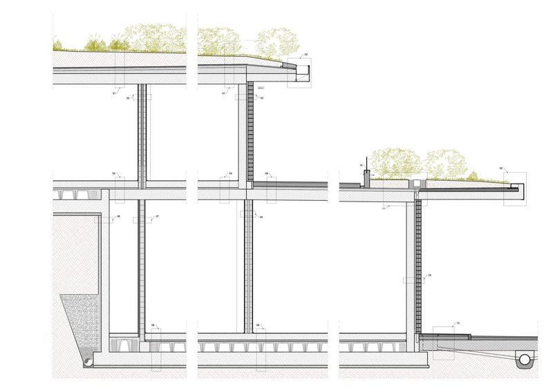 Detail section drawing of roof assembly with planted green roof layer and structural framing connections