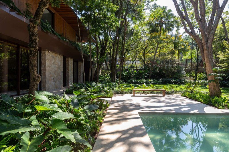 Pool terrace with surrounding planted beds and lawn beneath the canopy of mature trees