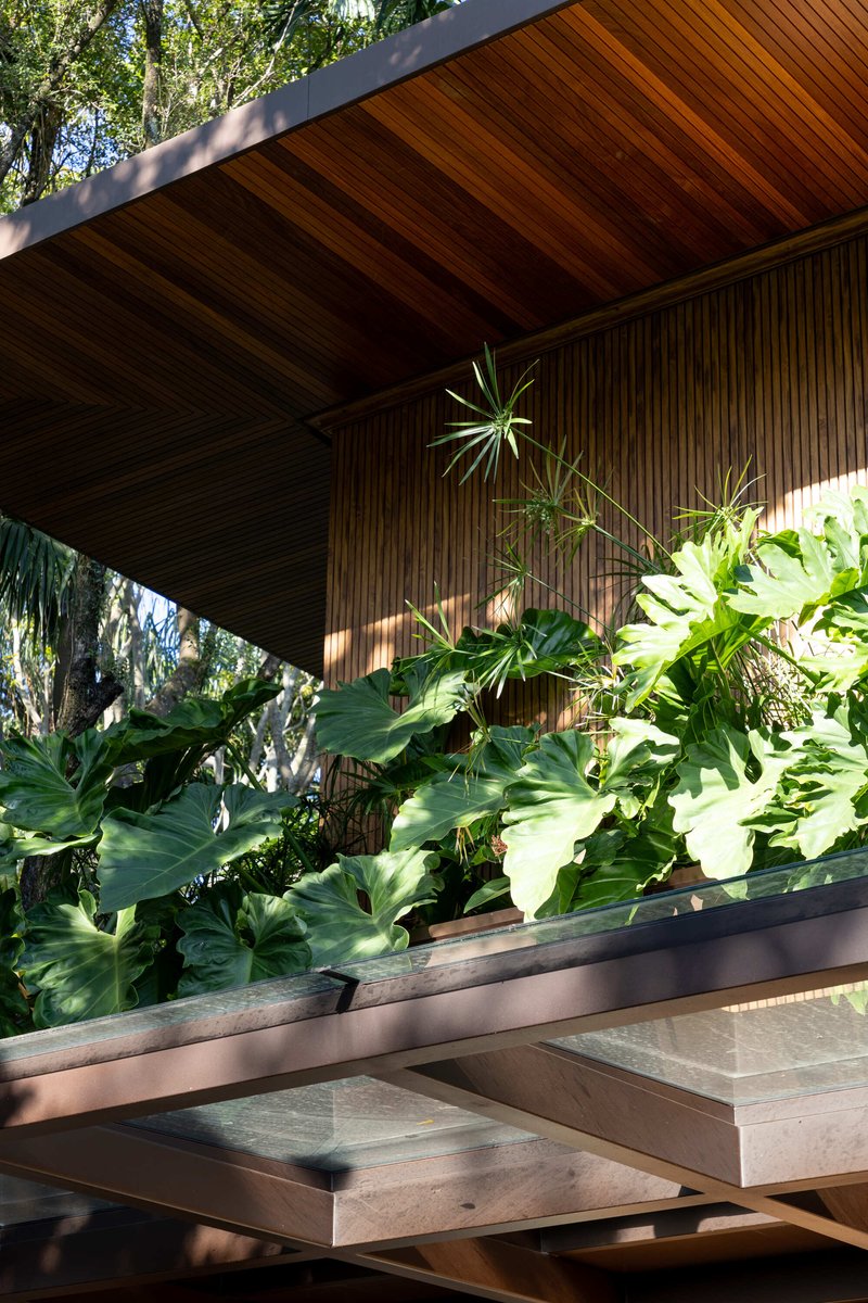Timber soffit and vertical slat facade above a planted bed with large tropical foliage in dappled sunlight