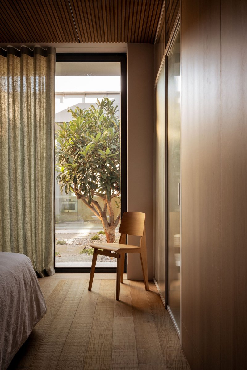 Bedroom with slatted timber ceiling and glazed door framing a courtyard tree in daylight