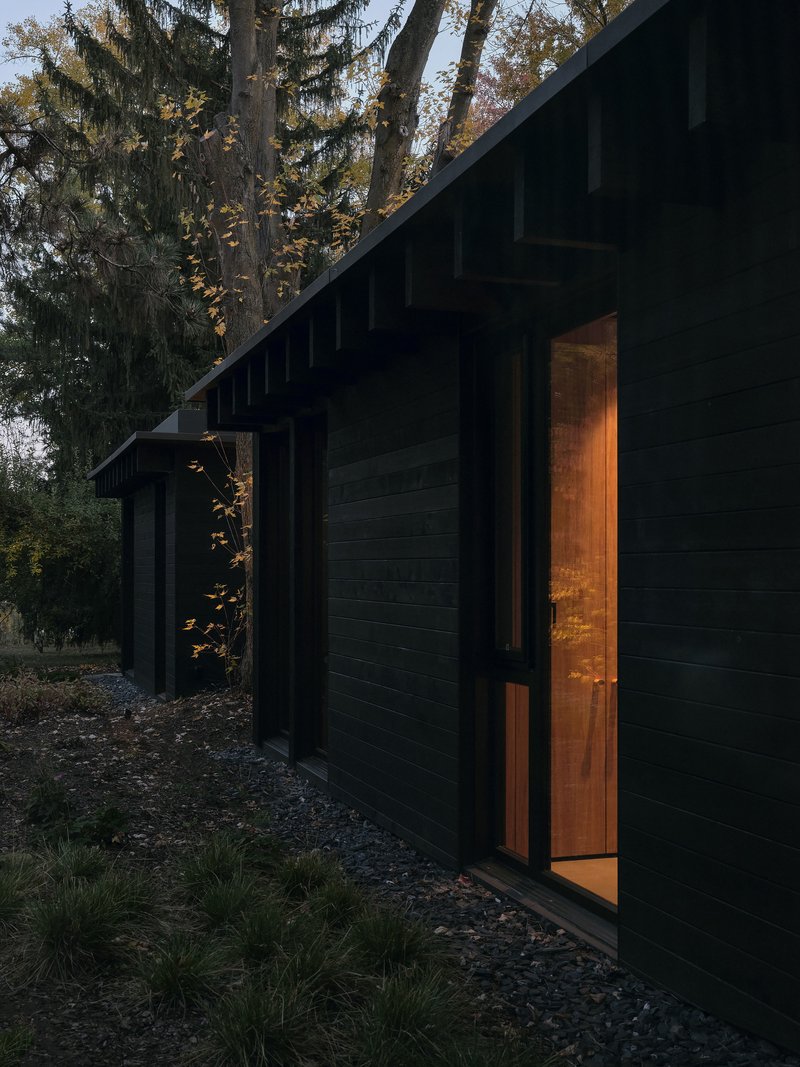 Black timber facade with glazed door glowing warmly at dusk among conifers