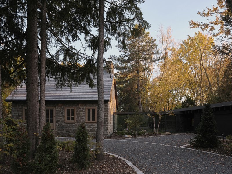 Stone masonry volume with pitched roof and timber windows framed by tall evergreen trees in autumn
