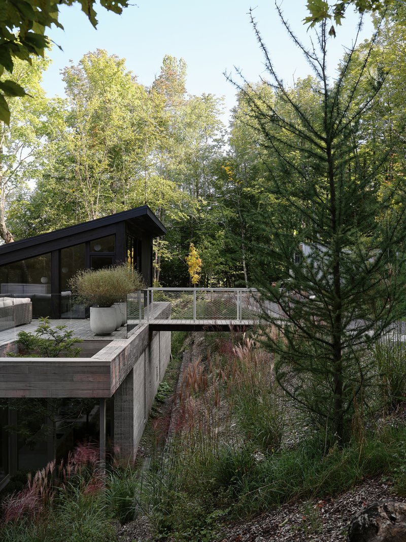 Terraced planted beds with grasses descending from the glazed pavilion through the forest