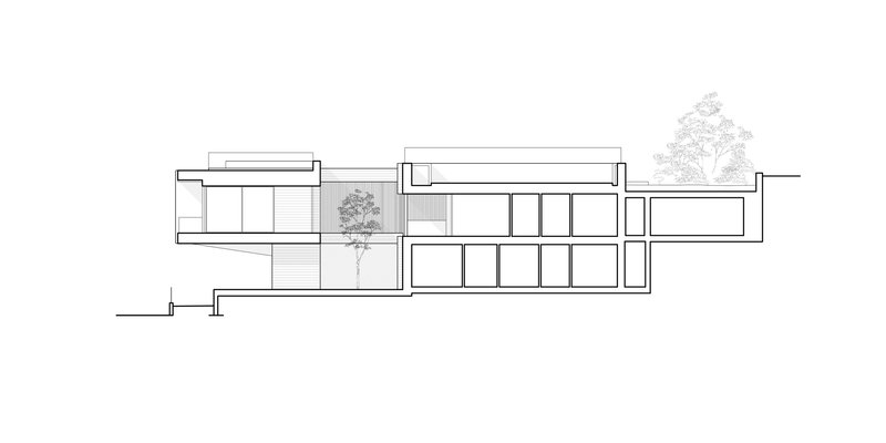 Section drawing cutting through the multi-level volumes with trees flanking the composition