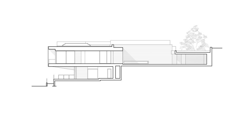 Longitudinal section drawing showing split-level interior volumes with a tree in the upper courtyard