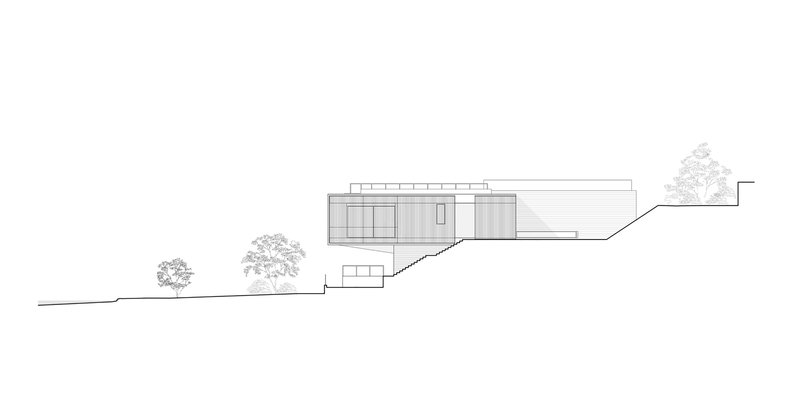 Section drawing illustrating the building stepping down the hillside with scattered trees in elevation