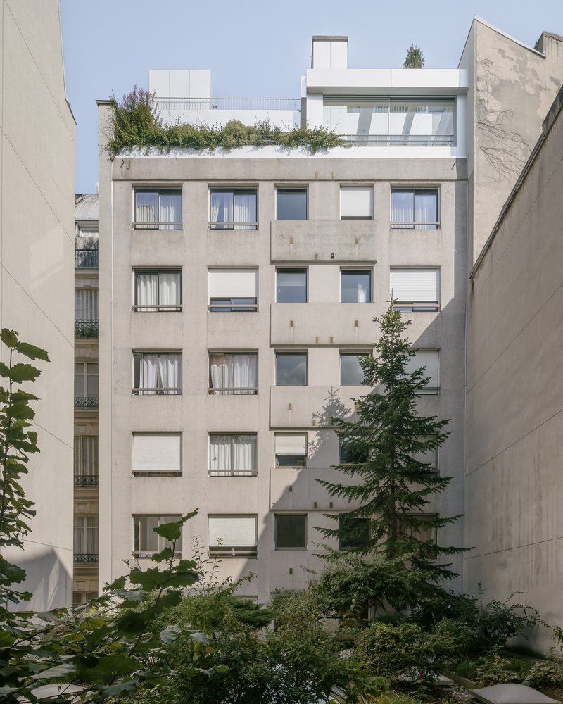 Rear facade with punched windows and rooftop terrace planted with greenery under clear skies