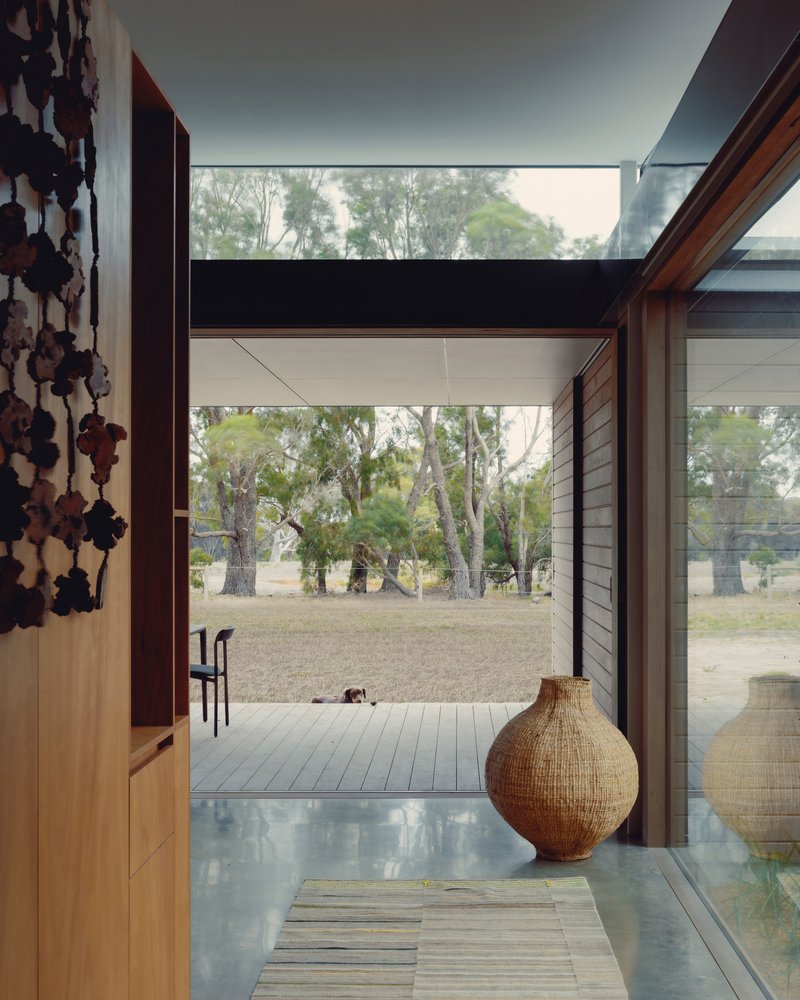 Entry corridor with polished concrete floor and clerestory glazing framing distant eucalyptus trees