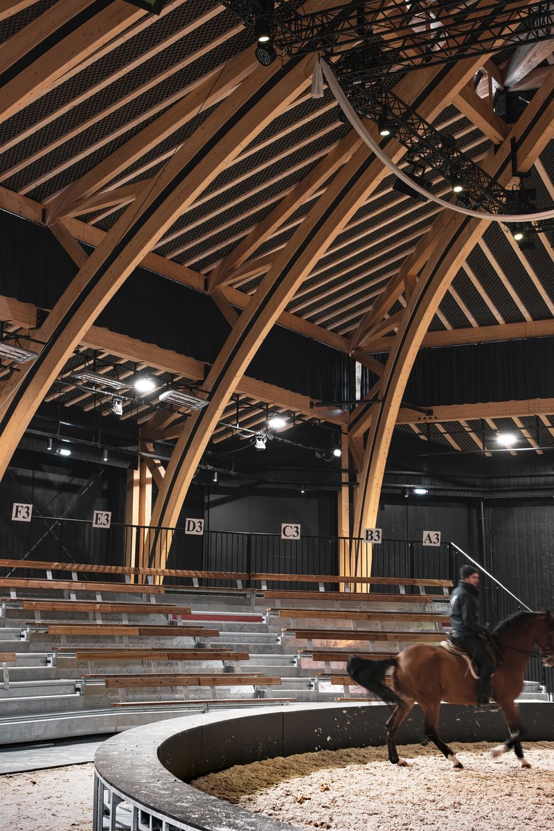 Interior view of the arched laminated timber roof structure above tiered seating with a rider below