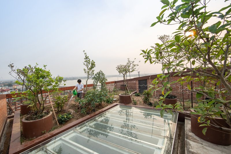 Rooftop garden with potted trees and planted beds surrounding a glass skylight at dusk