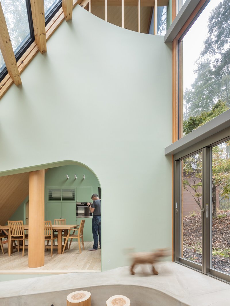 Double-height interior space with pale green arched kitchen alcove, timber framing and cat walking across concrete floor