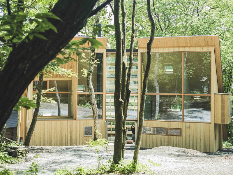 Timber-clad facade with large glazed openings framed by birch tree trunks in a forested setting