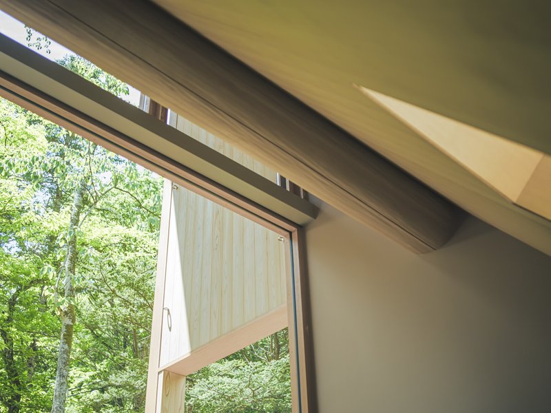 View through a clerestory window with timber framing looking out to green foliage beyond