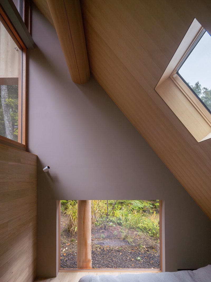 Interior corner with angled plywood ceiling, skylights, and low window framing forest undergrowth