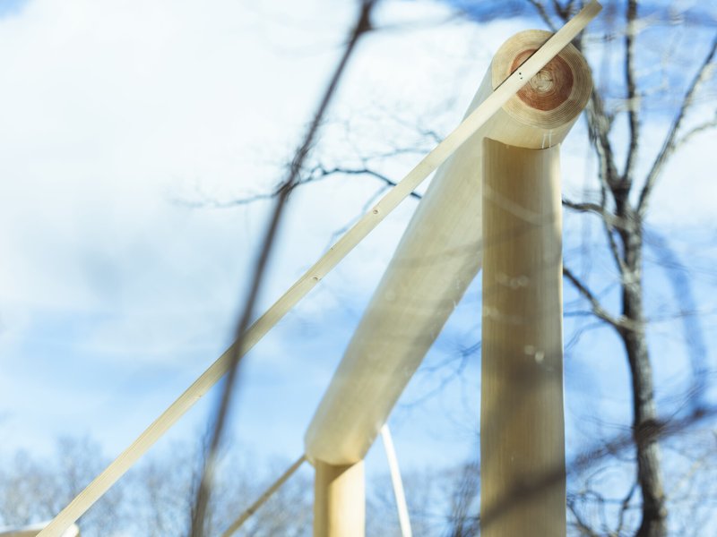 Detail of laminated timber roof support and cylindrical column against bare winter branches
