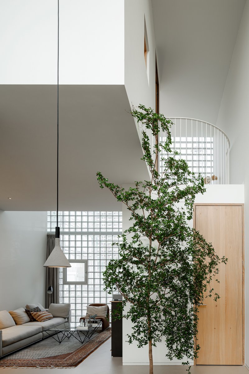Interior view of a spiraling white staircase beside a tall tree growing through multiple levels