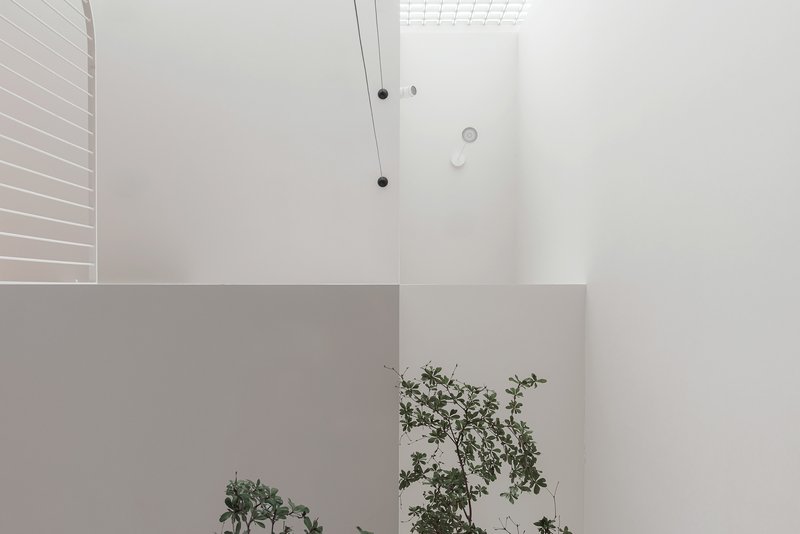Interior courtyard with white walls, glass block skylight, and small planted trees below